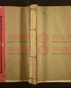 珍溪东山谢氏十一修族谱[不分卷]